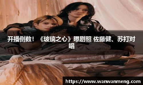 万向娱乐：开播倒数！《玻璃之心》曝剧照 佐藤健、苏打对唱